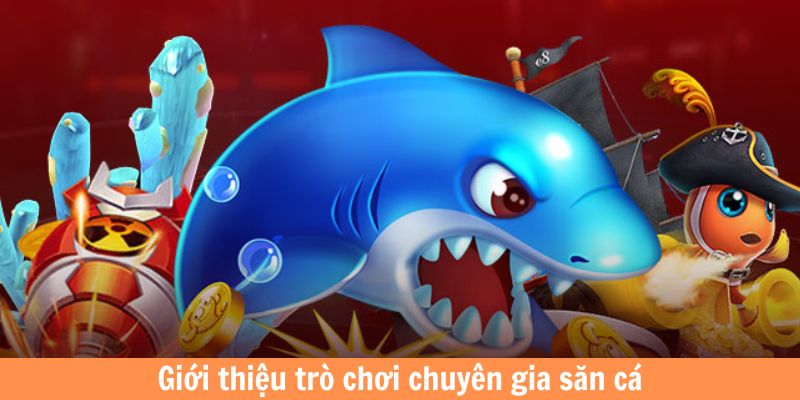 Giới thiệu trò chơi chuyên gia săn cá