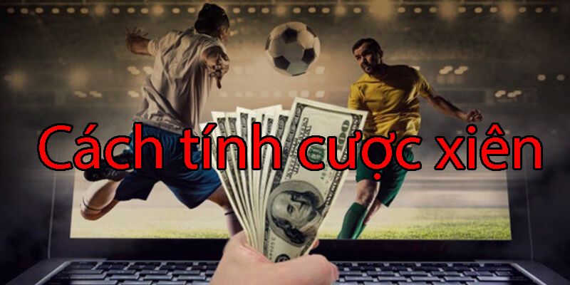 Hướng dẫn tính chi tiết