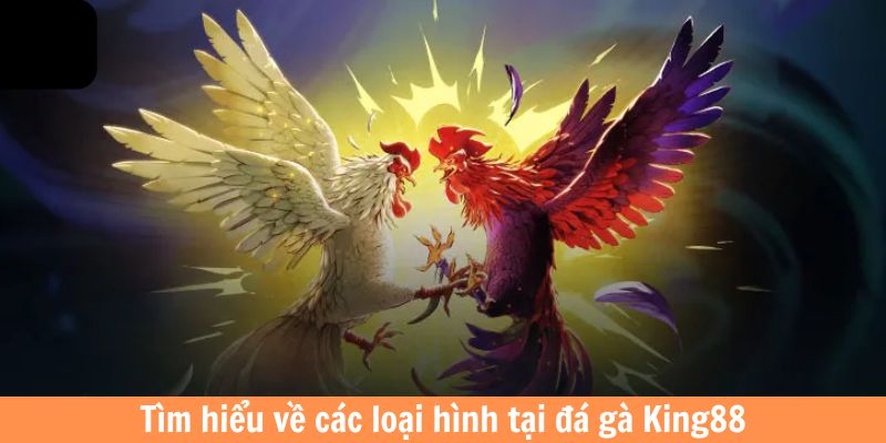 Tìm hiểu về các loại hình tại đá gà King88